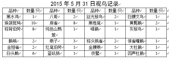 重庆大学绿色青年志愿者服务队 重庆大学绿色青年志愿者服务队