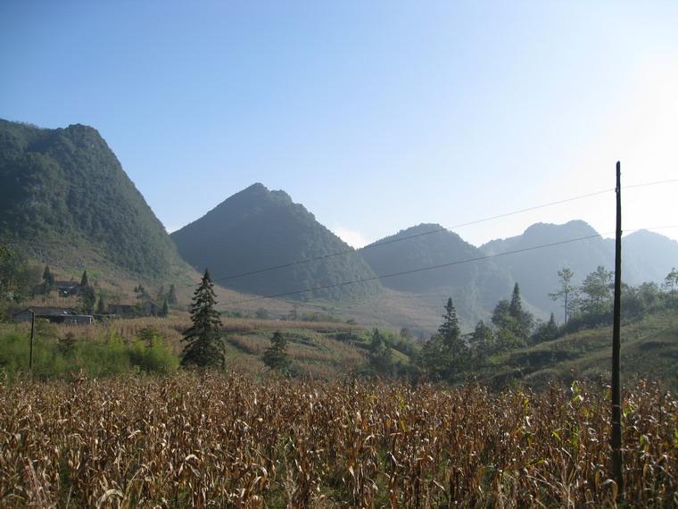大岩上自然村 -包穀 大岩上自然村 -包穀