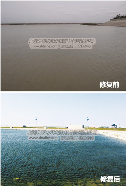 上海太和水环境科技发展有限公司 上海太和水环境科技发展有限公司