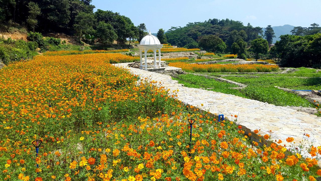 广州市二龙山国际生态园 广州市二龙山国际生态园