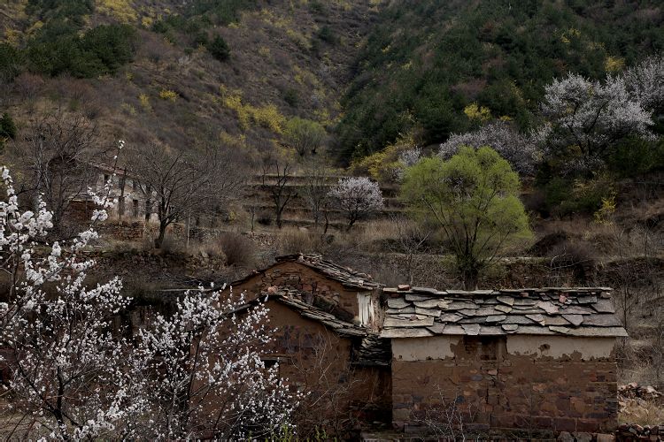 三亩地写生基地 三亩地写生基地