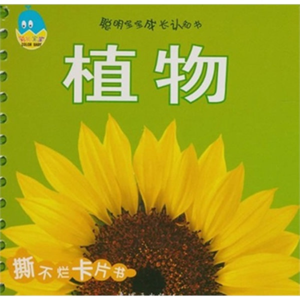 聪明宝宝成长认知书:植物(0-3岁) 聪明宝宝成长认知书:植物(0-3岁)