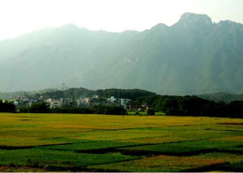 陆河县河口镇新华兵营埔村庄园 陆河县河口镇新华兵营埔村庄园