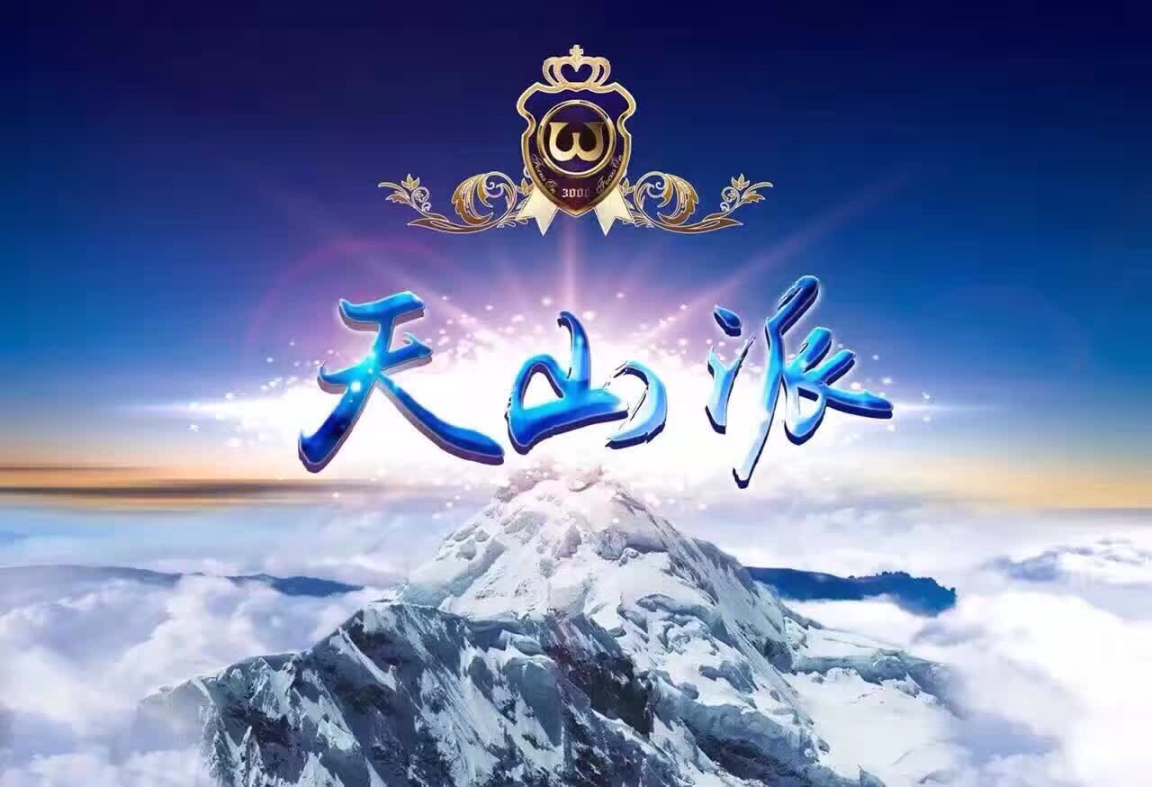天山派(梁羽生小说的武林门派) 天山派(梁羽生小说的武林门派)