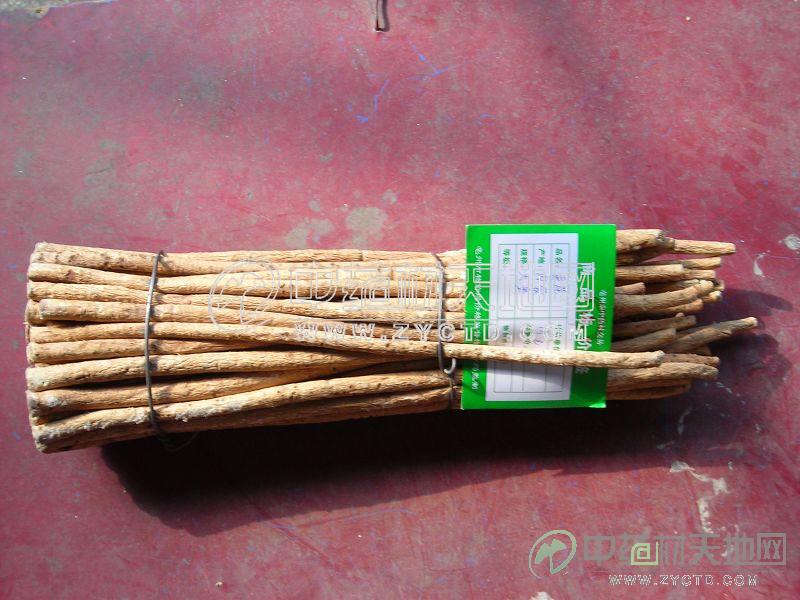 炙黄芪 炙黄芪