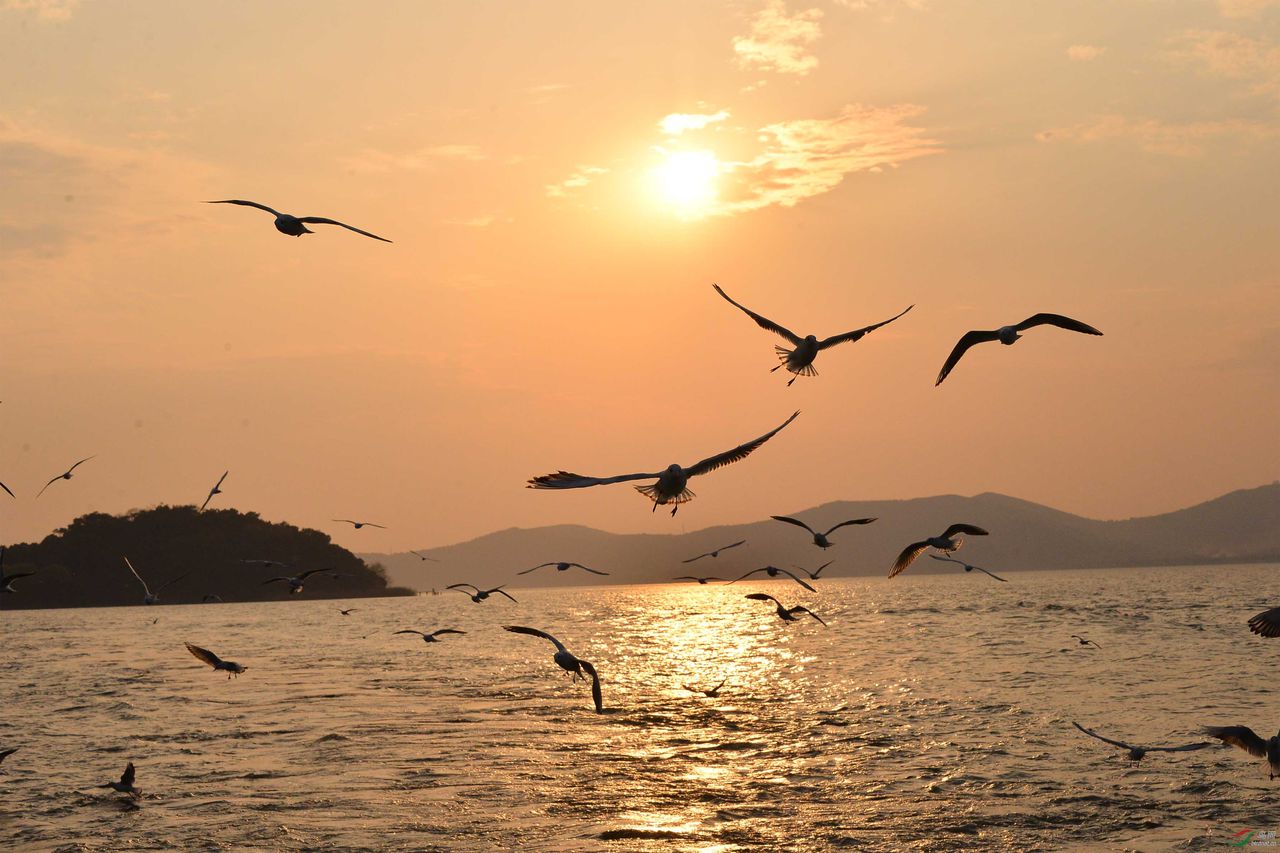 太湖 太湖
