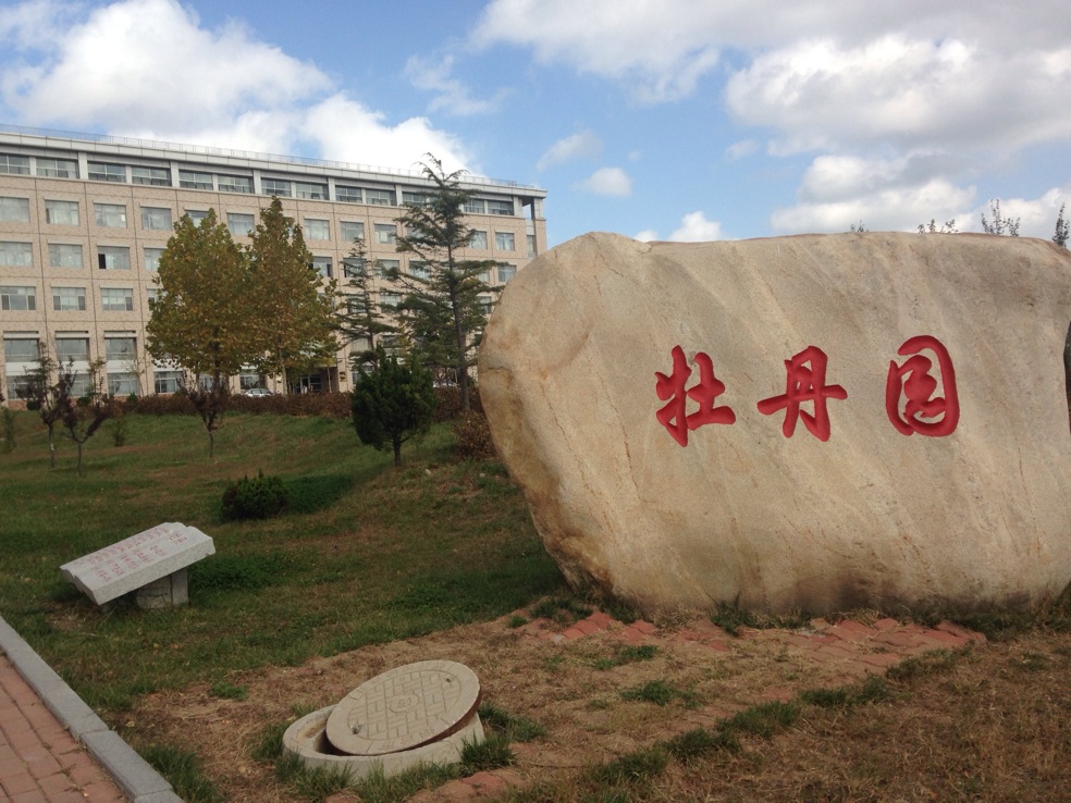 牡丹园 牡丹园