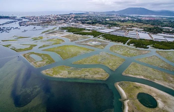 陵水红树林国家湿地公园 陵水红树林国家湿地公园