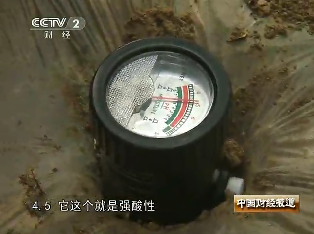 土壤酸化严重影响种植 土壤酸化严重影响种植