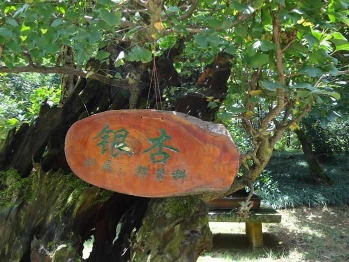 枣庄滨湖镇郁郎村 枣庄滨湖镇郁郎村