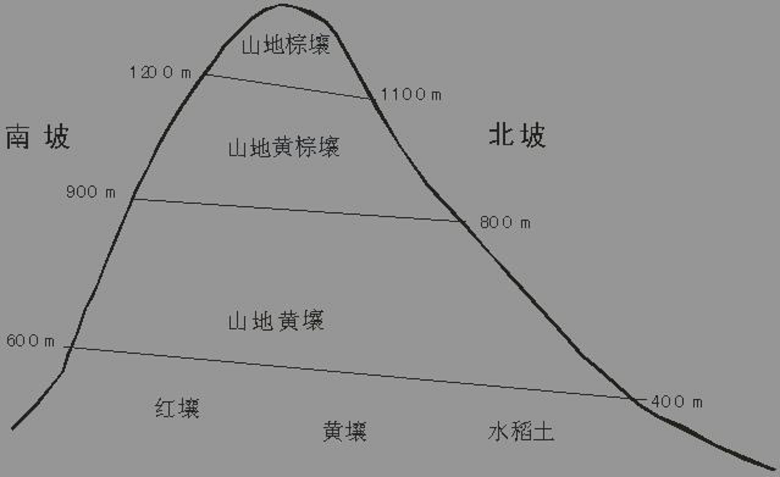 土壤地带性 土壤地带性