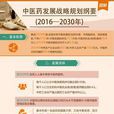 中医药发展战略规划纲要(2016-2030年) 中医药发展战略规划纲要(2016-2030年)