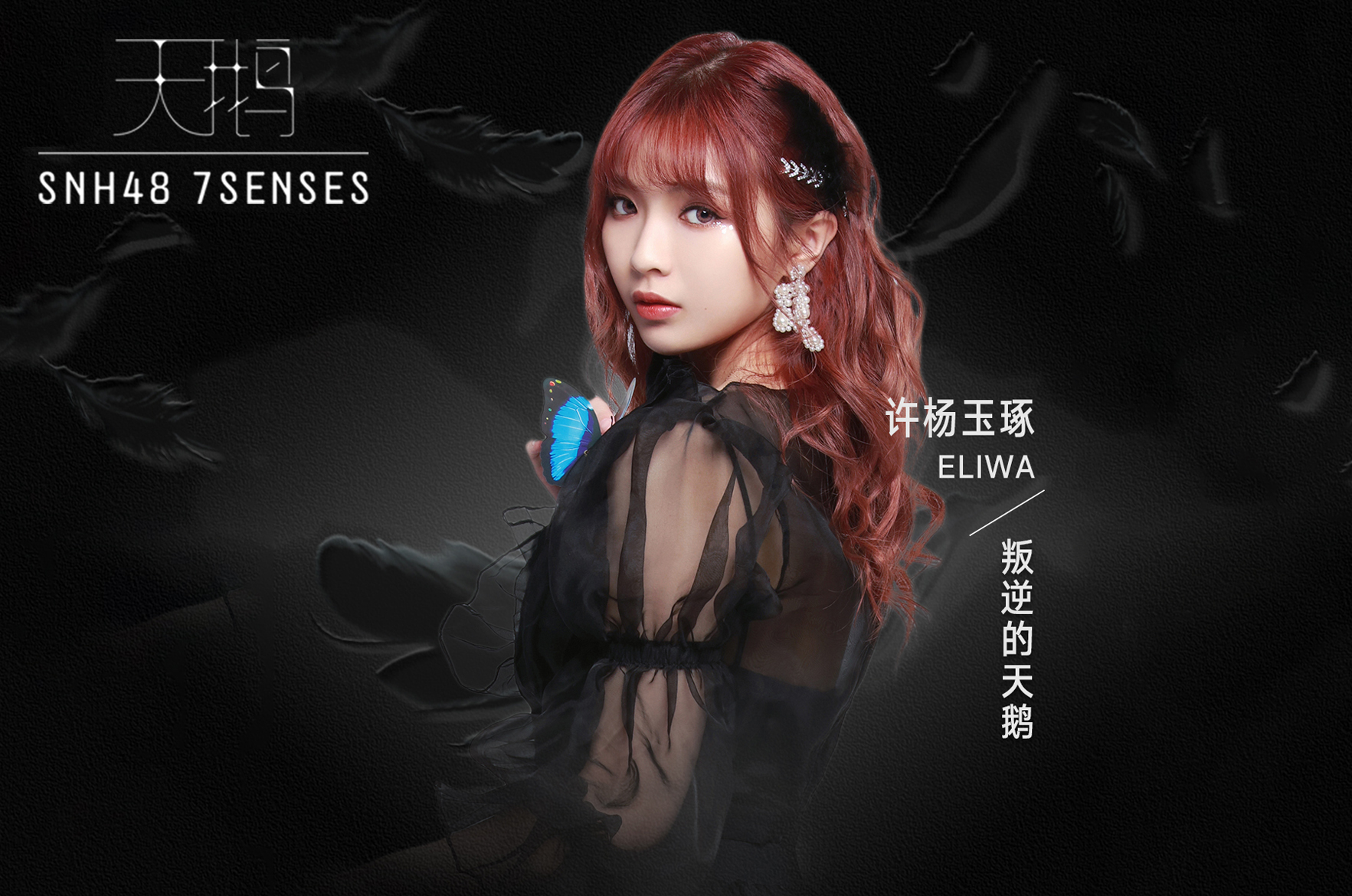 许杨玉琢