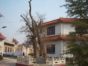 西师村 西师村