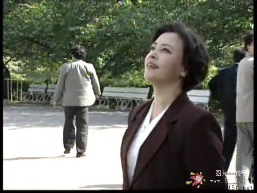 阳光地带 阳光地带