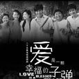 爱是一颗幸福的子弹(2007年张歆艺、陈思成主演电视剧) 爱是一颗幸福的子弹(2007年张歆艺、陈思成主演电视剧)