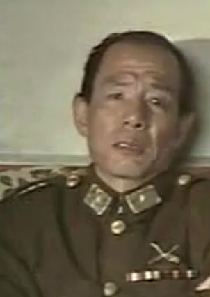 桃花扇喋血记