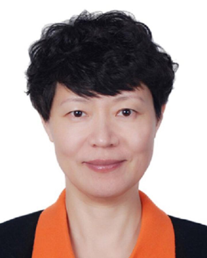 林青(第十三届全国人民代表大会代表) 林青(第十三届全国人民代表大会代表)