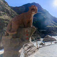虎跳峡 虎跳峡