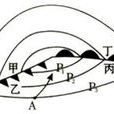 锋面(锋面系统) 锋面(锋面系统)