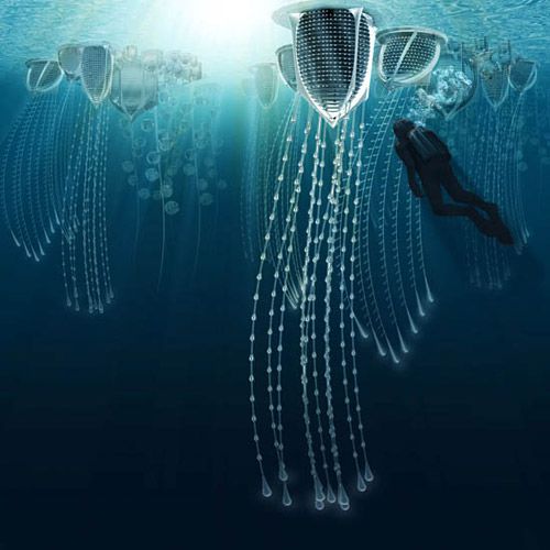 海洋城 海洋城