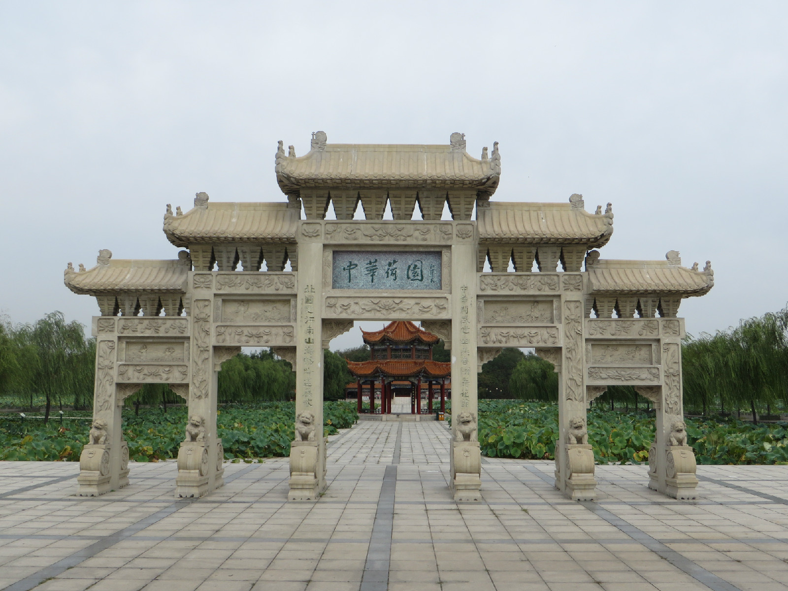 中华荷园 中华荷园