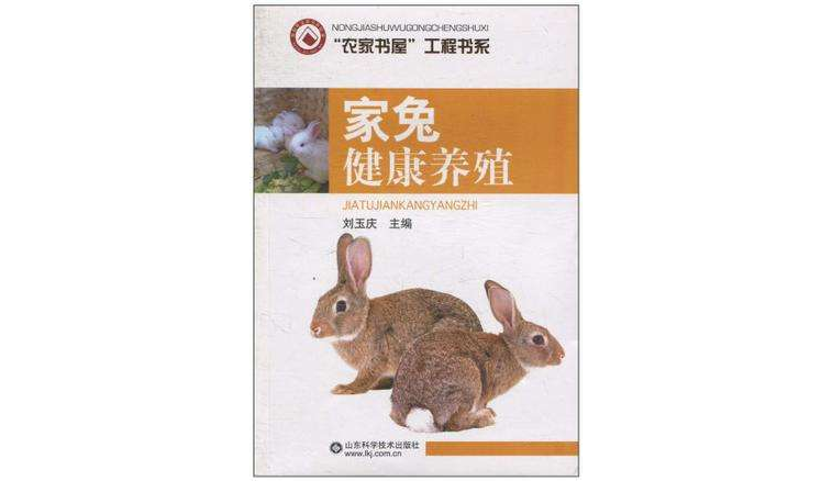 家兔健康养殖 家兔健康养殖