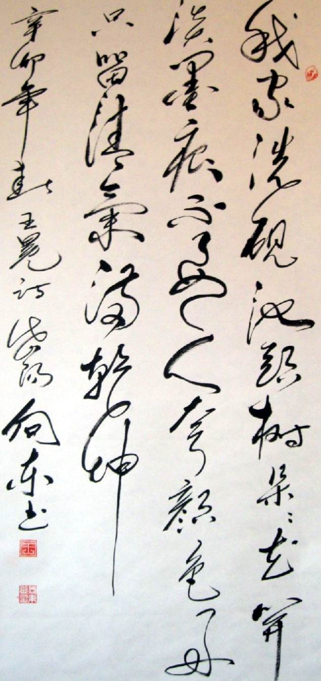 王向东 王向东