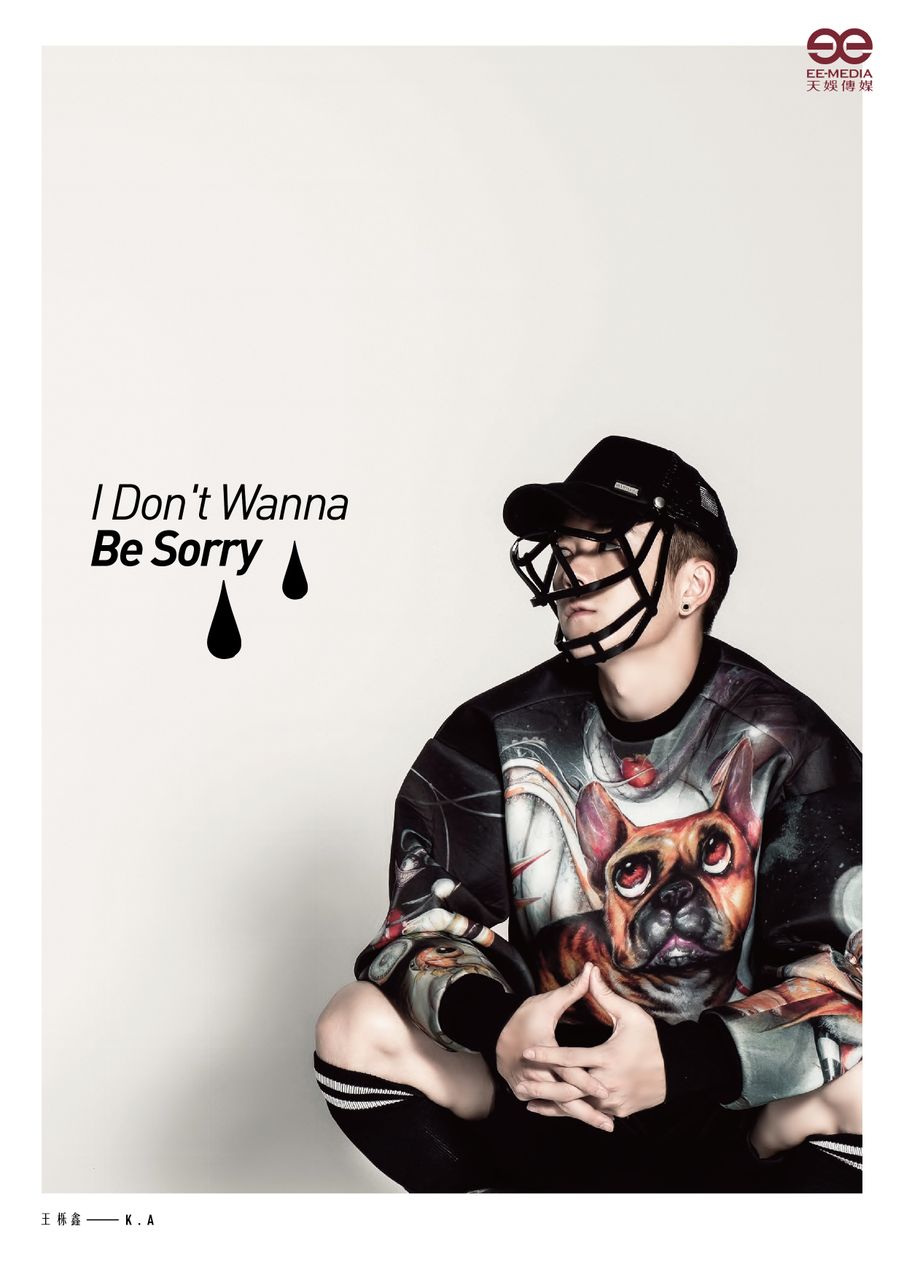 I Dont Wanna Be Sorry I Dont Wanna Be Sorry