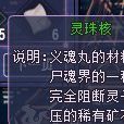 灵珠核