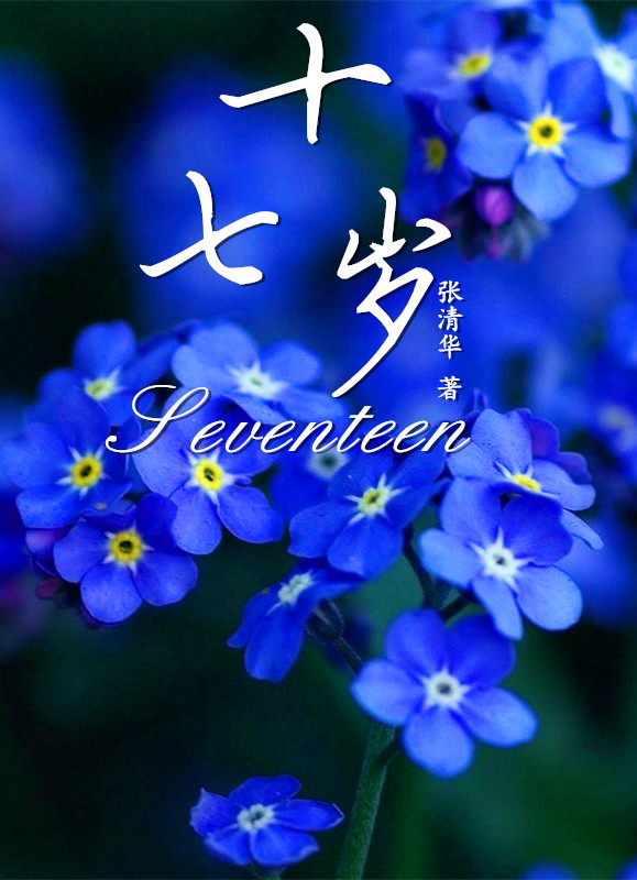 十七岁(张清华的诗集) 十七岁(张清华的诗集)