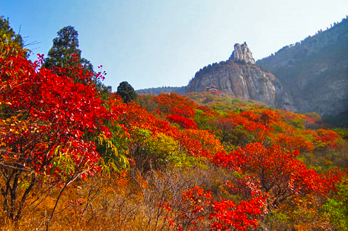 莲台山 莲台山