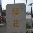梅花村(广东省汕头市潮阳区金浦梅花乡村) 梅花村(广东省汕头市潮阳区金浦梅花乡村)