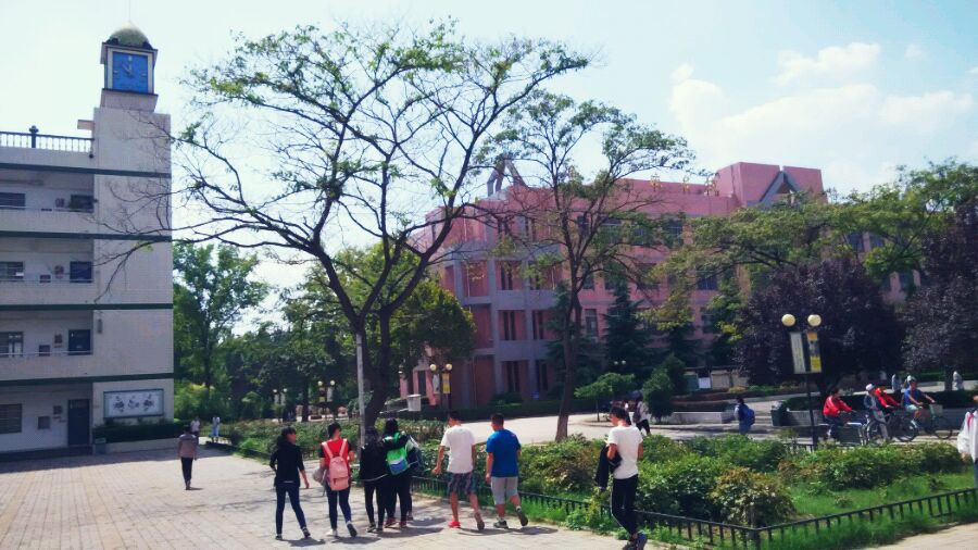 清新的校园环境 清新的校园环境