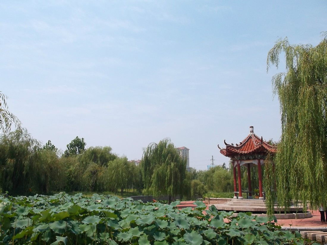 沭河公园 沭河公园
