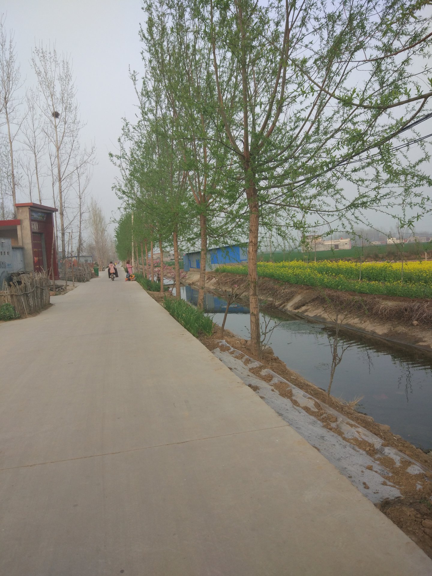 幸福渠一景 幸福渠一景