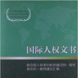 国际人权文书 国际人权文书