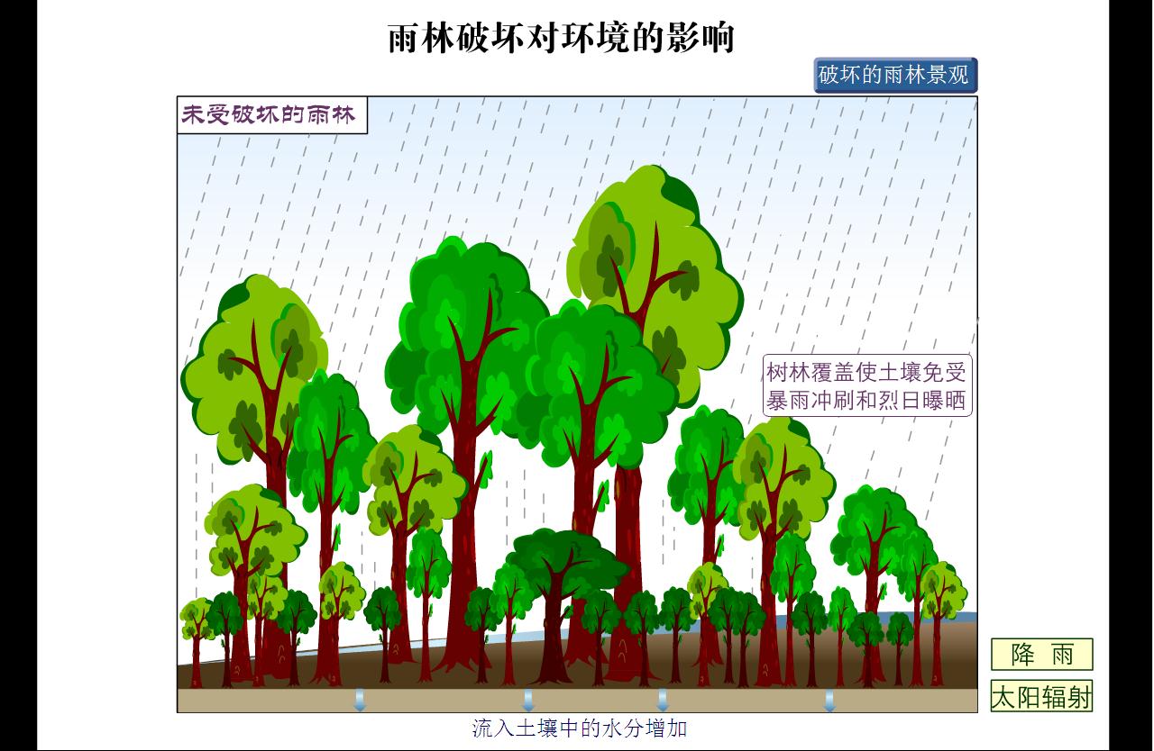 能源对环境的影响 能源对环境的影响