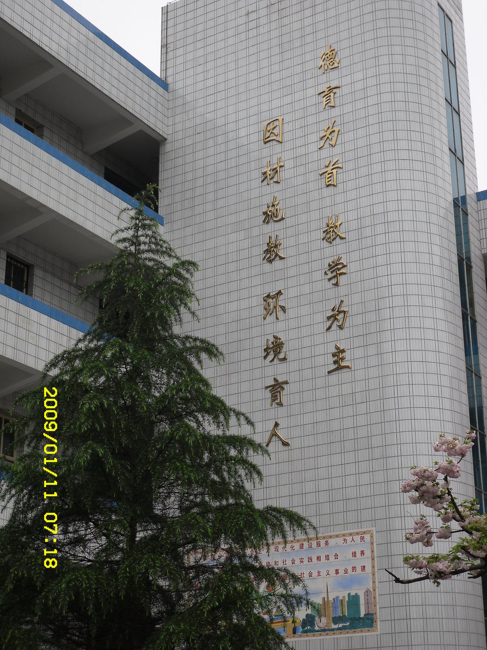 高坪镇中学 高坪镇中学