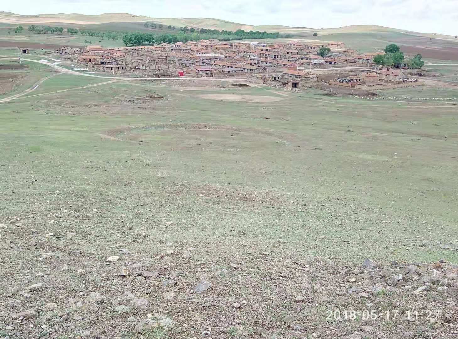王善地 王善地