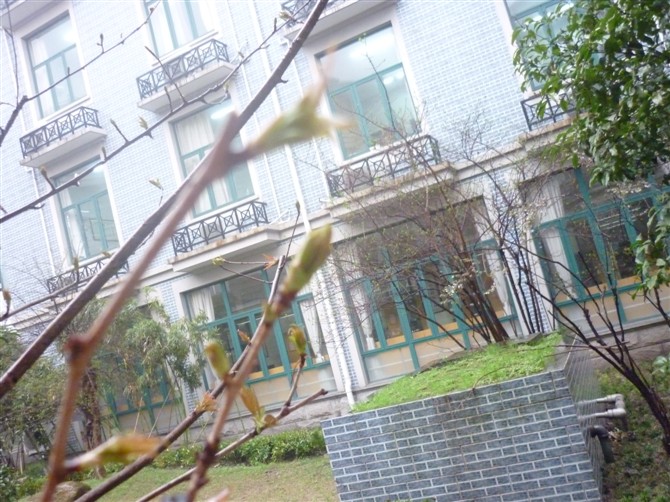 松江二中(集团)初级中学 松江二中(集团)初级中学