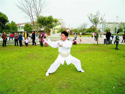岳家拳 岳家拳