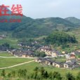 钟洋村 钟洋村