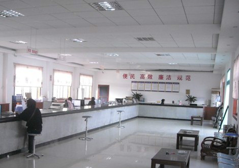 跳马镇政务服务中心 跳马镇政务服务中心
