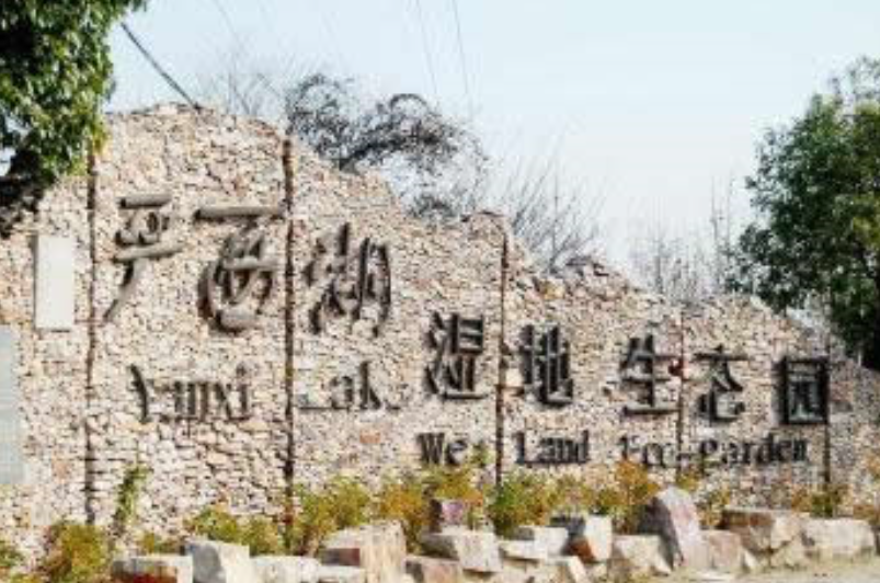 严西湖湿地生态园 严西湖湿地生态园