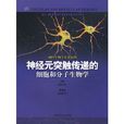 神经元突触传递的细胞和分子生物学 神经元突触传递的细胞和分子生物学