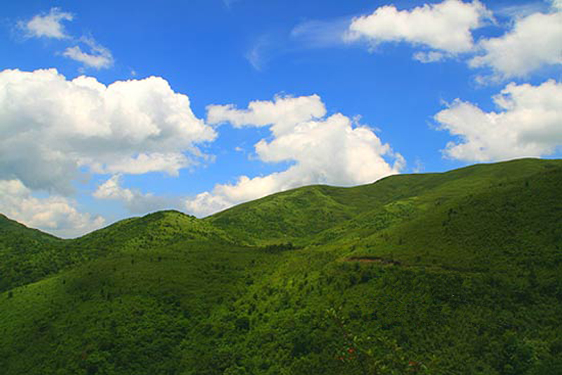 酃峰 酃峰