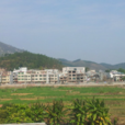 柳城镇(东源县下辖镇) 柳城镇(东源县下辖镇)