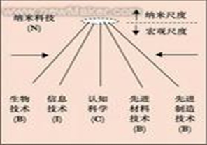 认知神经科学 认知神经科学