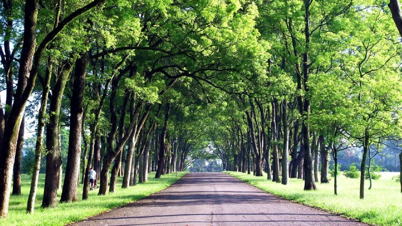 乡镇公路 乡镇公路